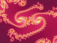 Rosa spirale frattale