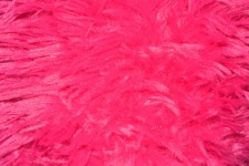 Pink Fur Colorful Background Nap