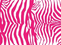 Zebra Rosa Fundo Pele