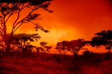 赤アフリカの夕日