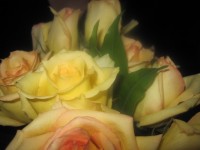 Romantic Roses Boeket