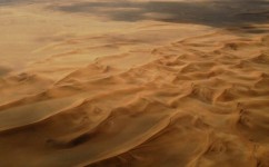 砂の波と波紋