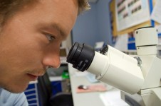 Cientista e microscópio