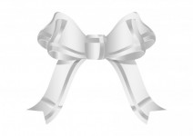 Silver Bow for Christmas