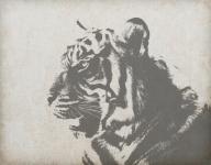 Tiger su sfondo Vintage