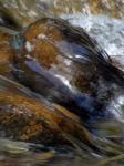 Water rushing by smooth boulders in
