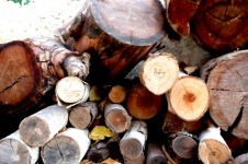 Wood Stack Background