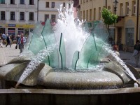 Zary fontana