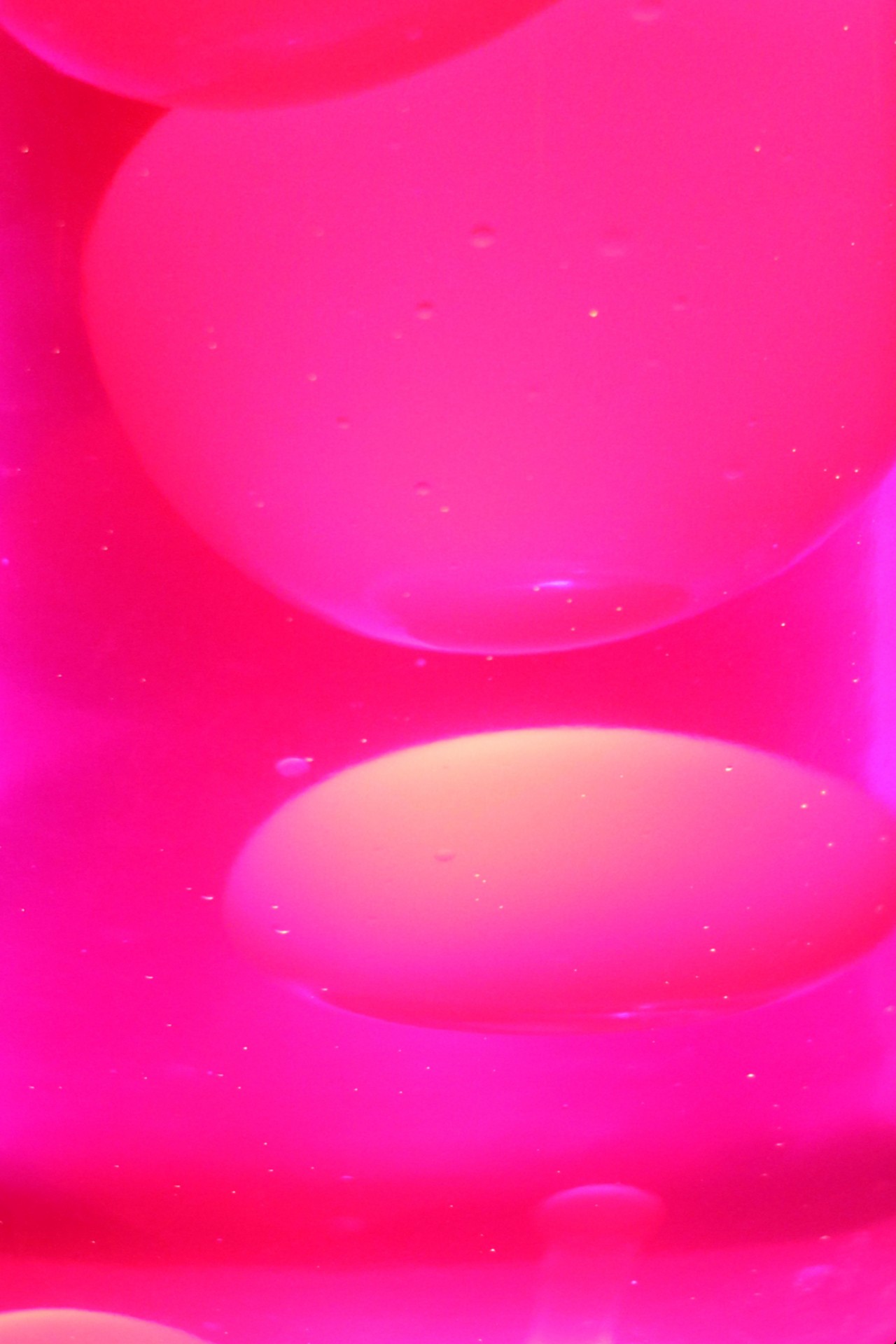 Abstract pink bubbles