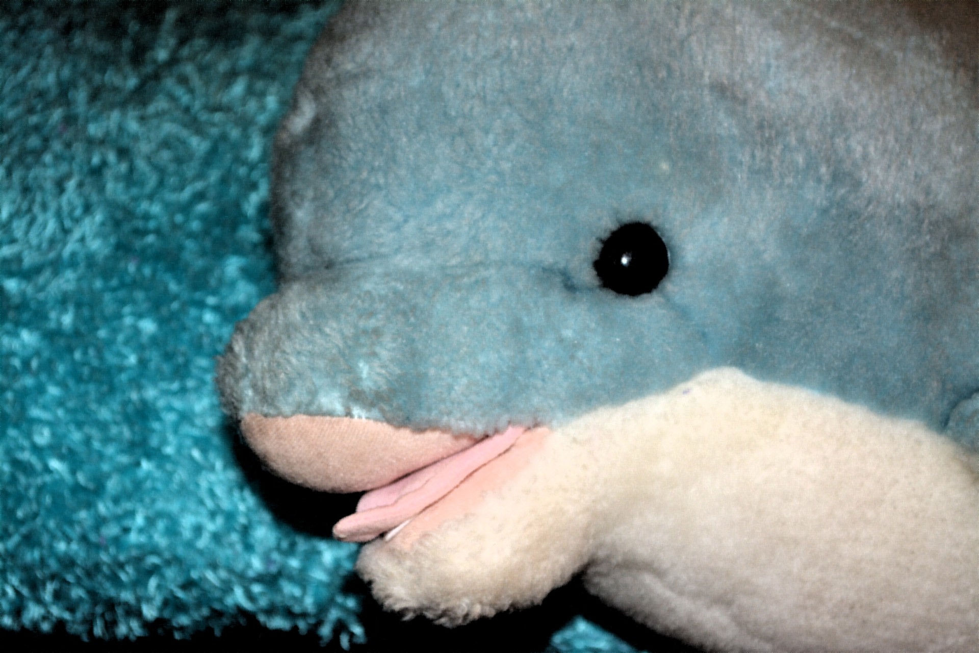 Животное Дельфин Красочный синий