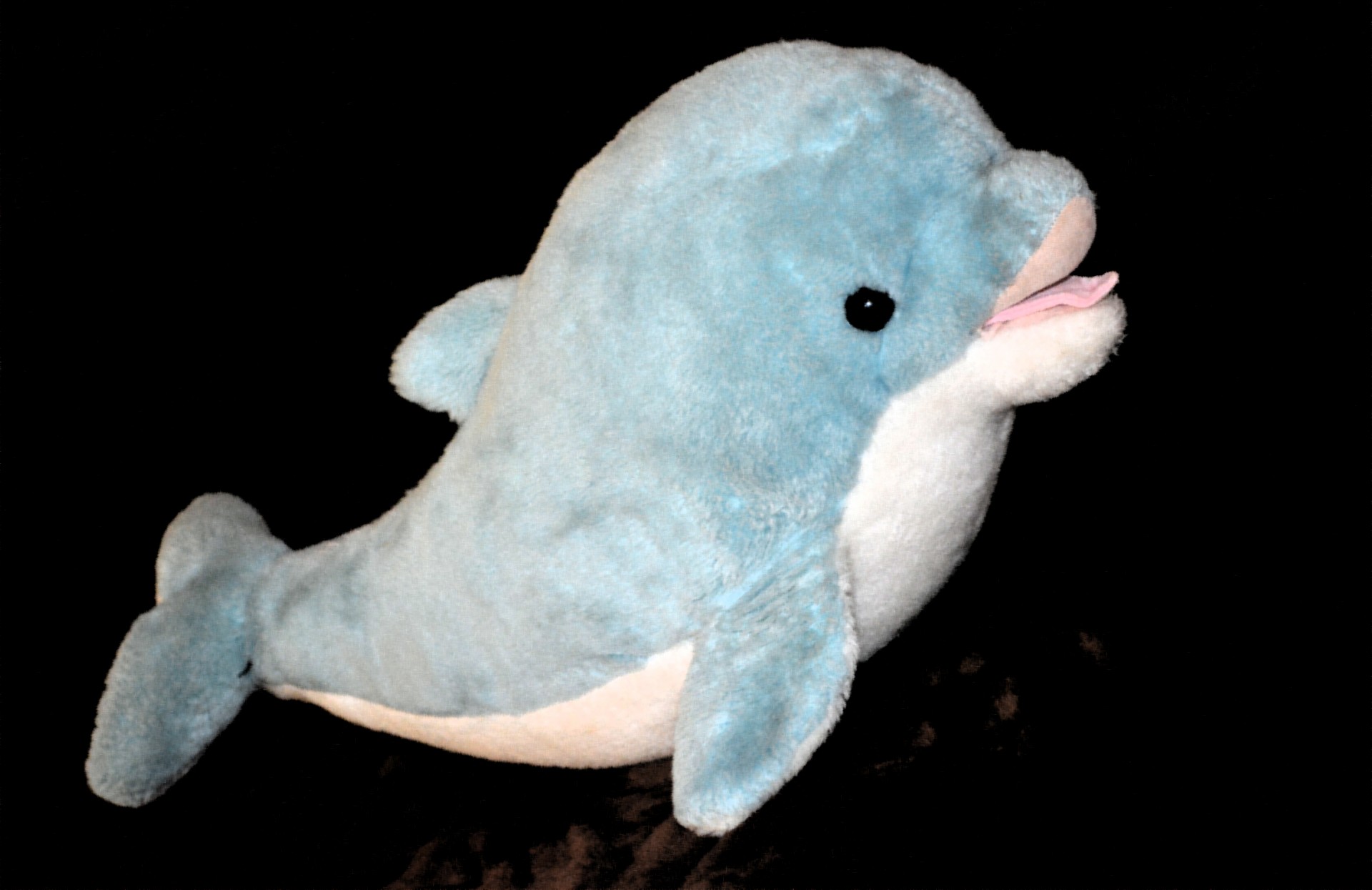 Tier Dolphin Pattern Colorful Toy