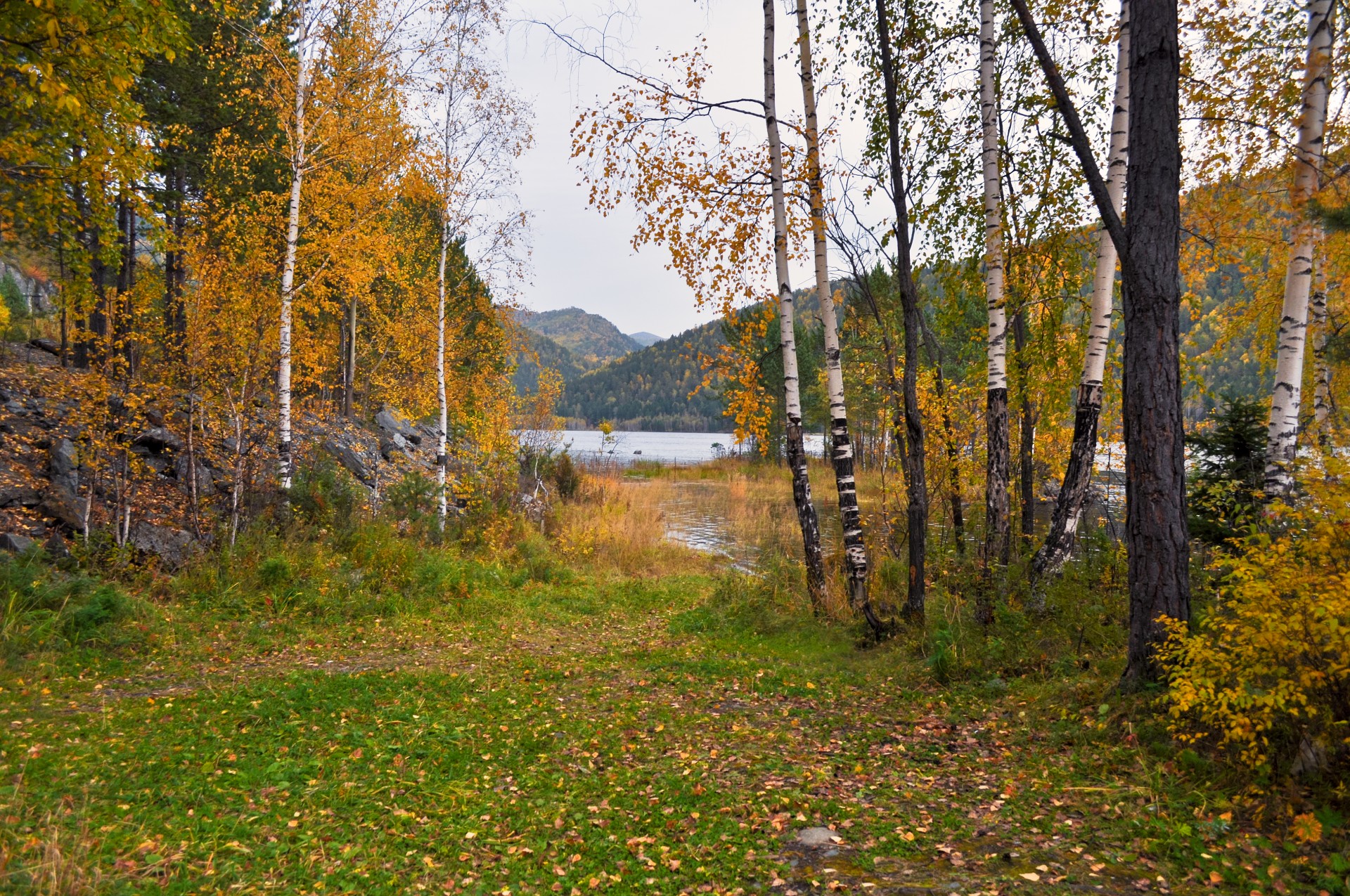 Herbst-Landschaft