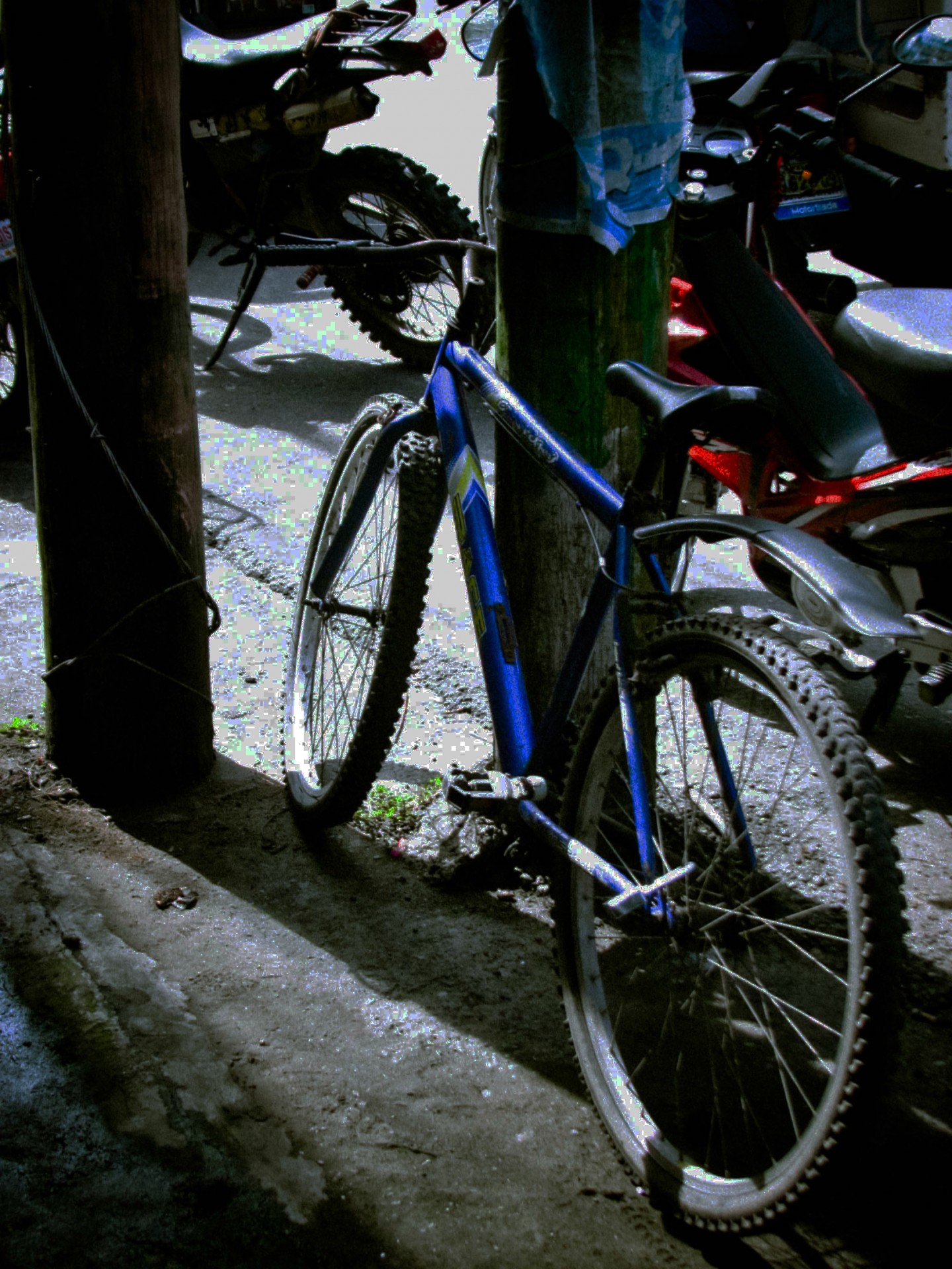 Парковка велосипедов