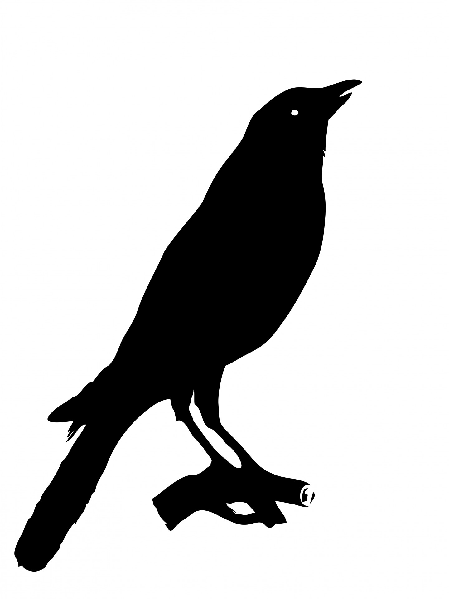 Vogel Crow Clipart