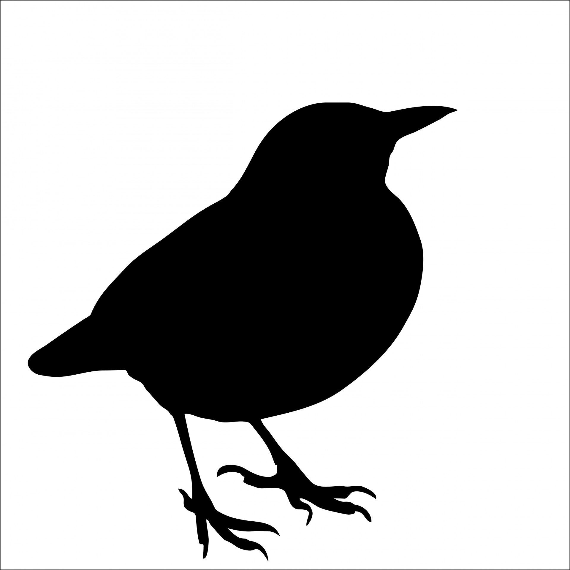 Silhouet van de Vogel, Blackbird
