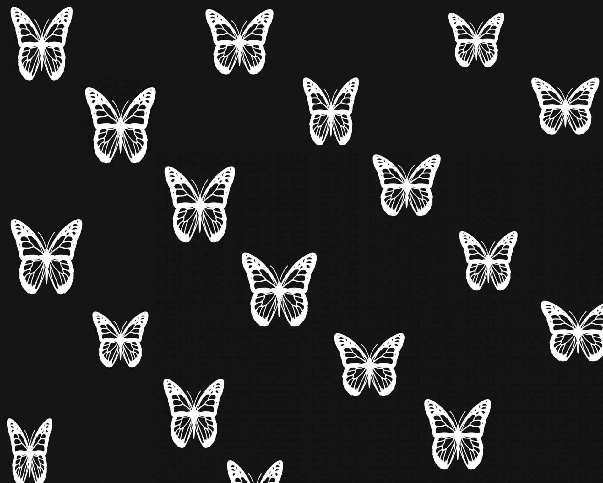 черных и белых бабочек