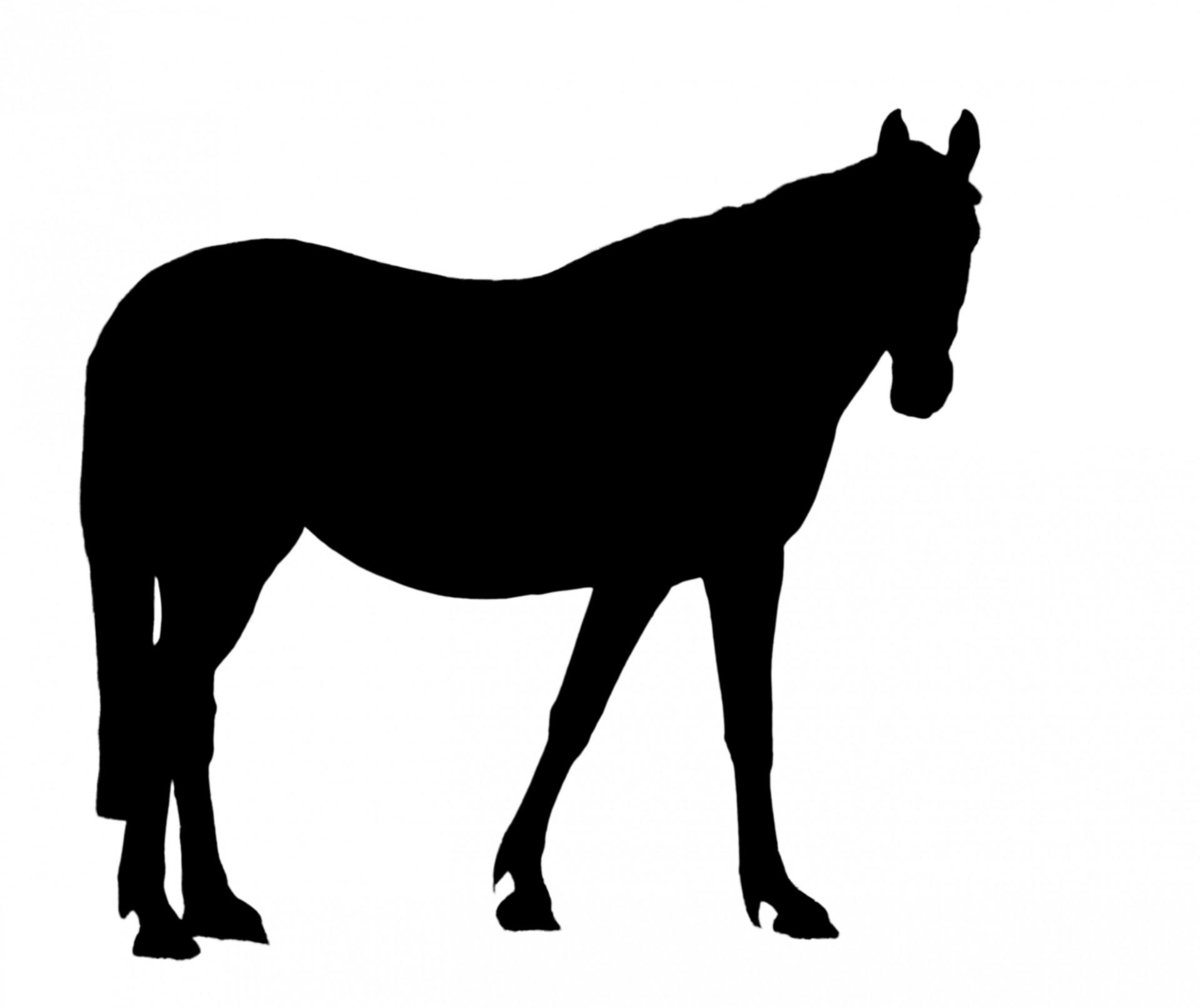 Черный силуэт лошади Clipart