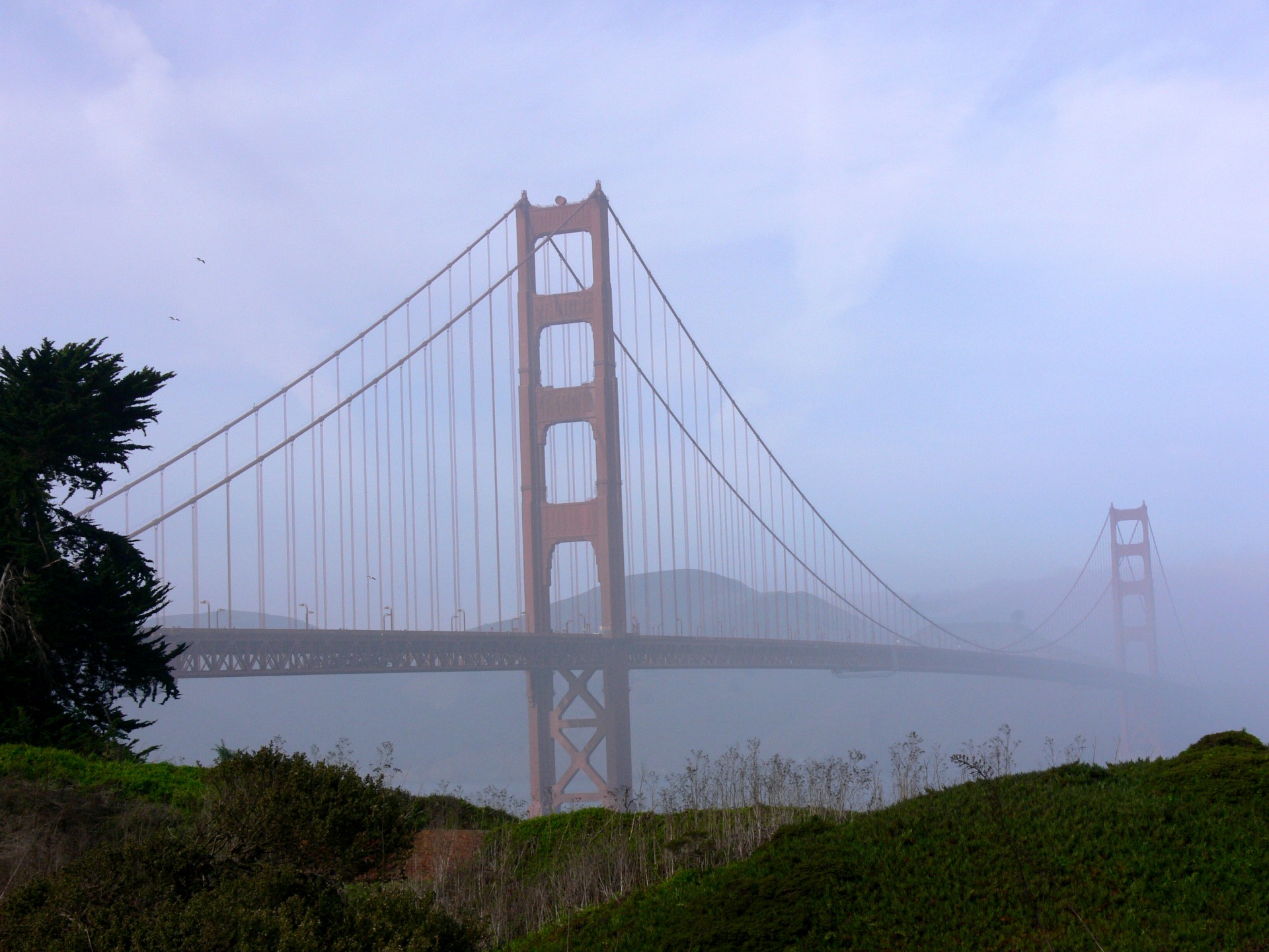 Мост в туманное утро