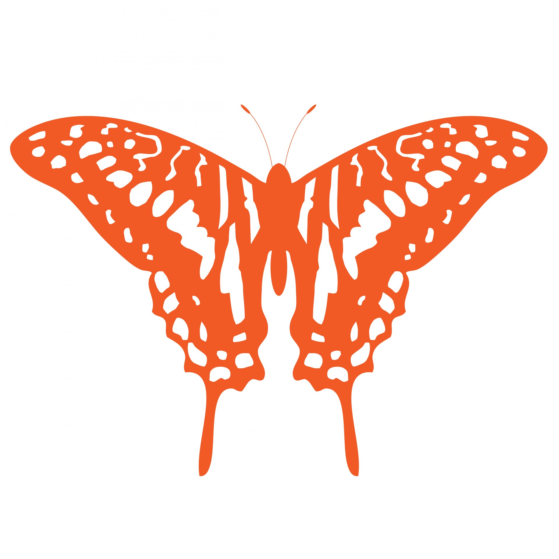 Оранжевая бабочка Клипарт
