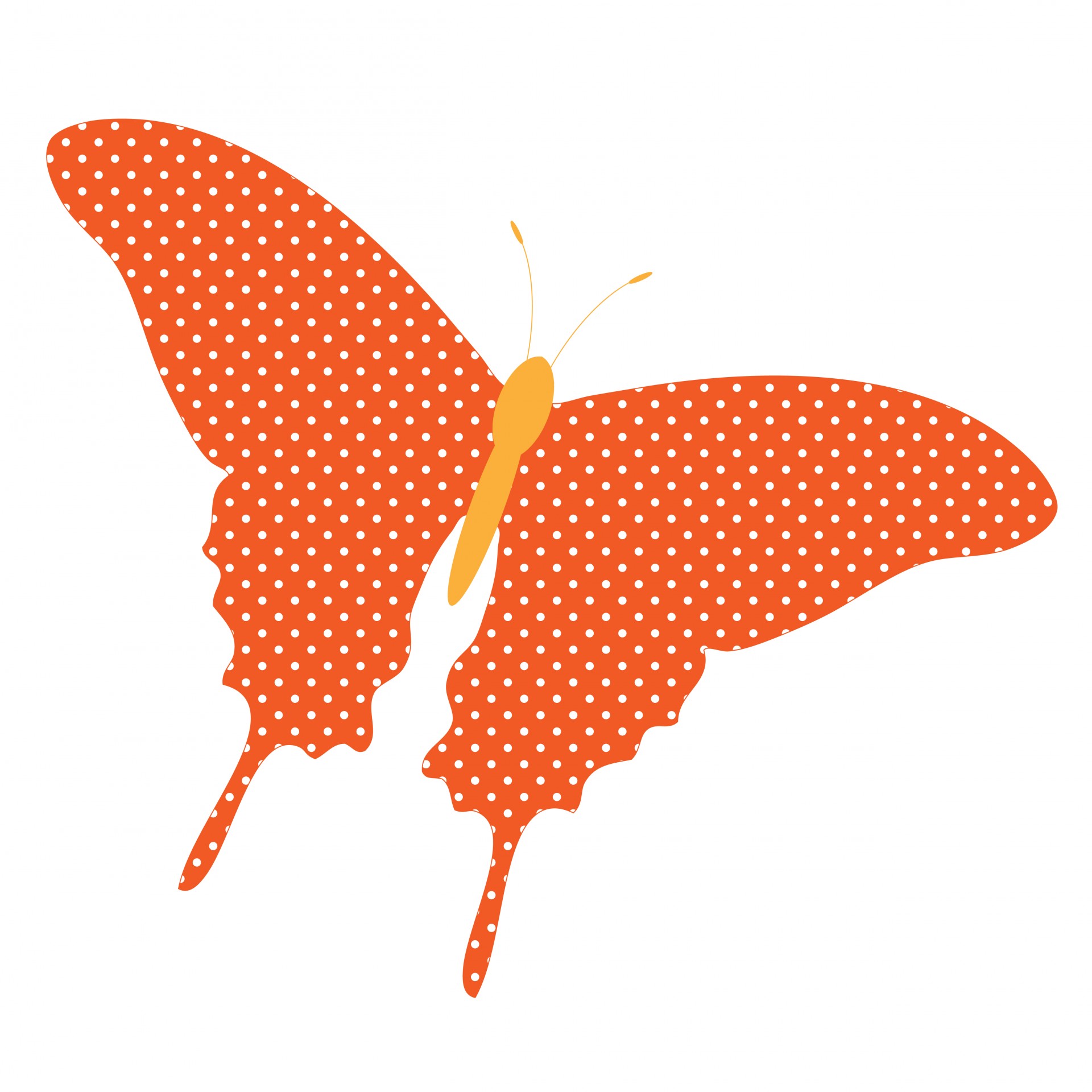 Бабочка оранжевый горошек