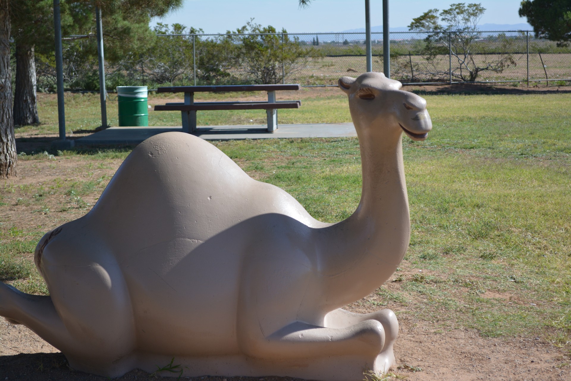 Camel Toy Animal Park