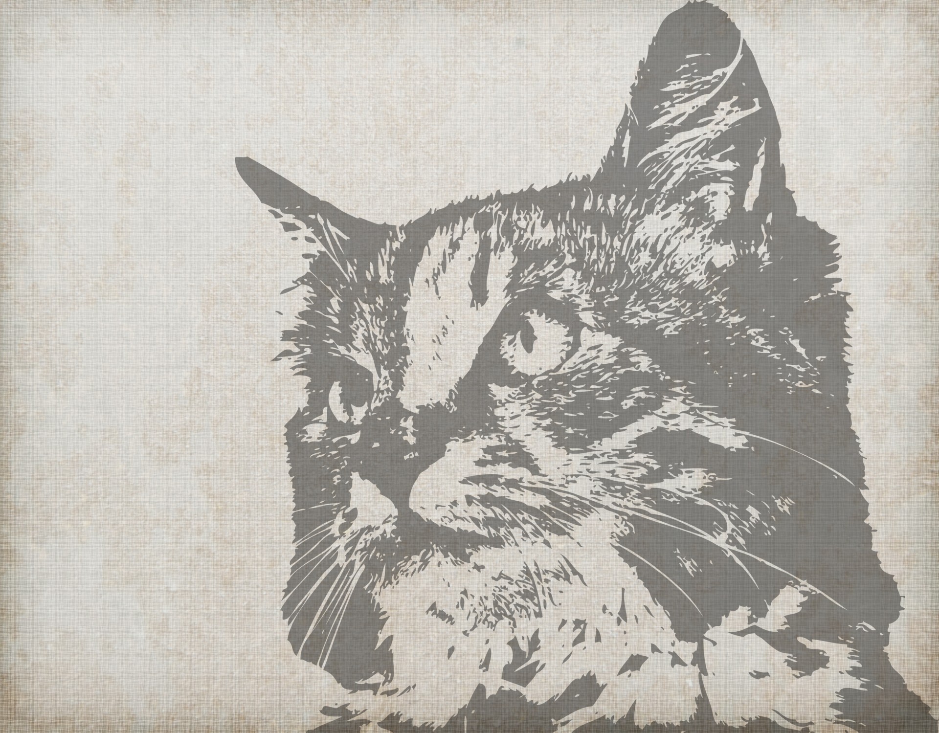 Cat Portrait Vintage Background