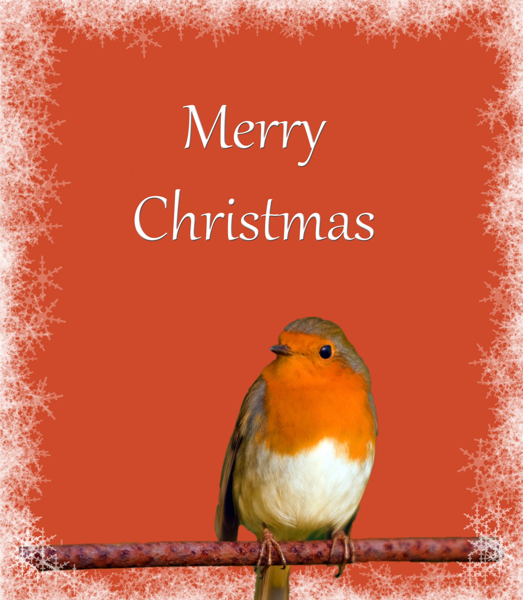 Рождественская открытка Робин Снежинки