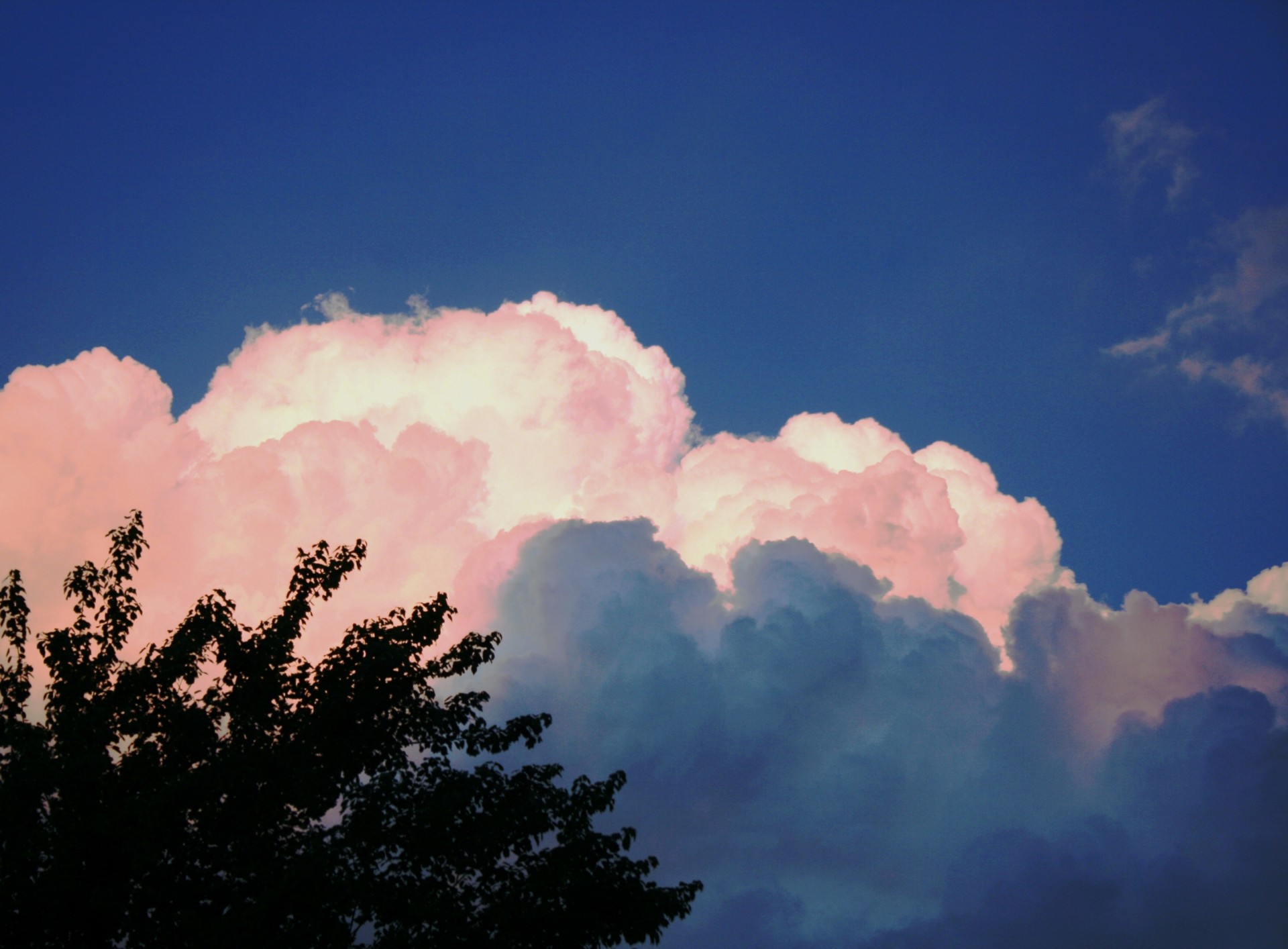 Wolke in rosa und weiß