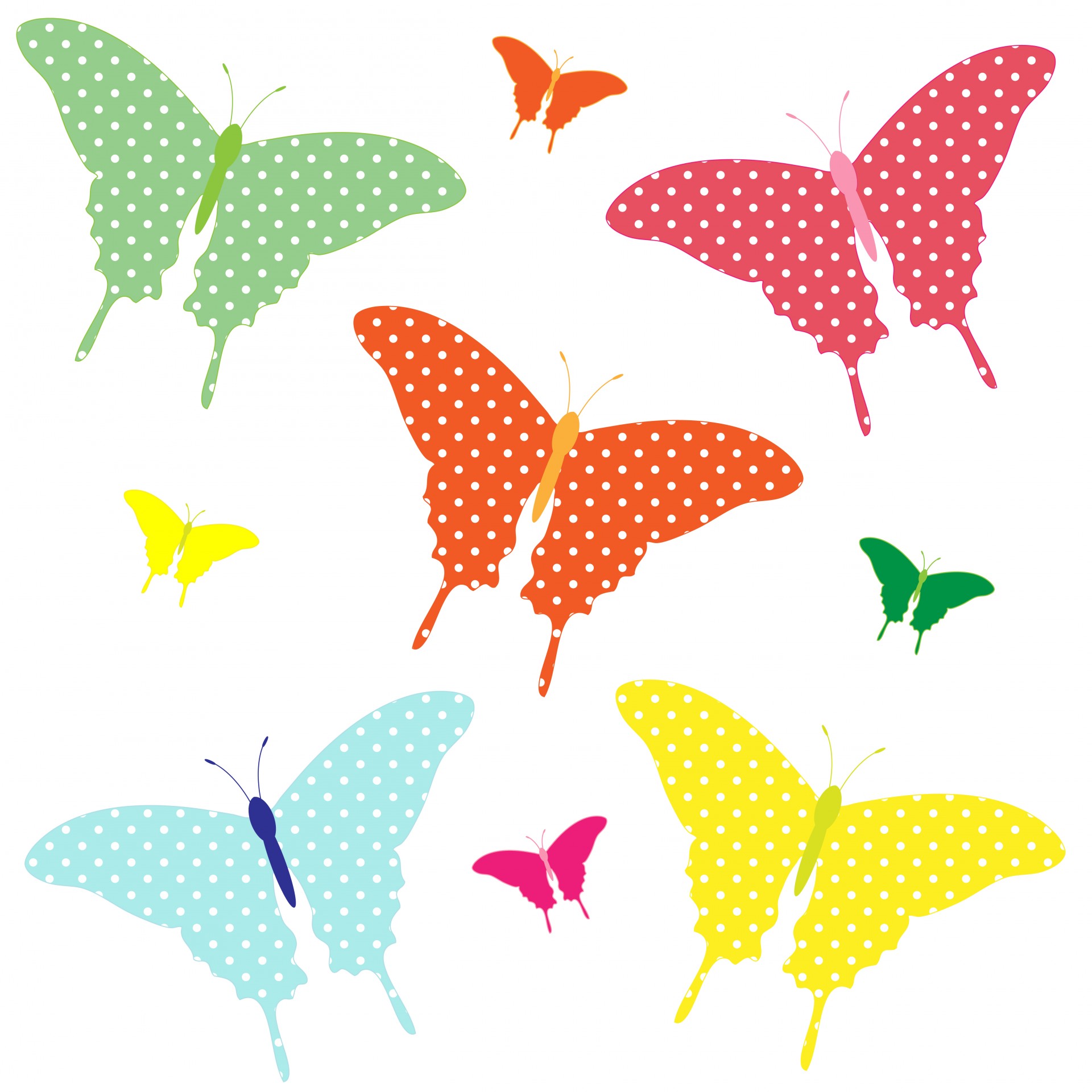Colorful Butterflies Clipart