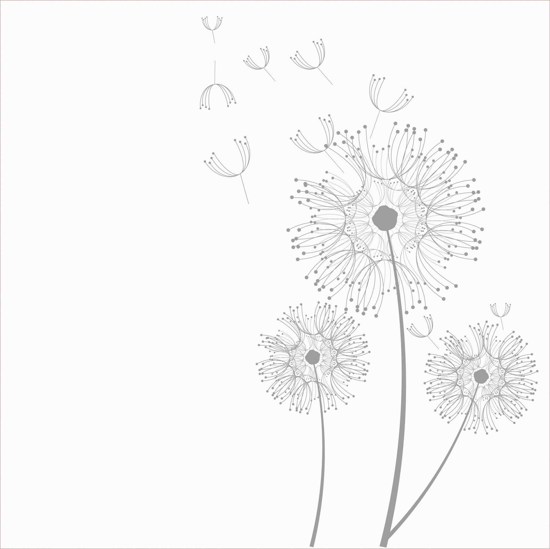 Dandelion Flowers Clipart