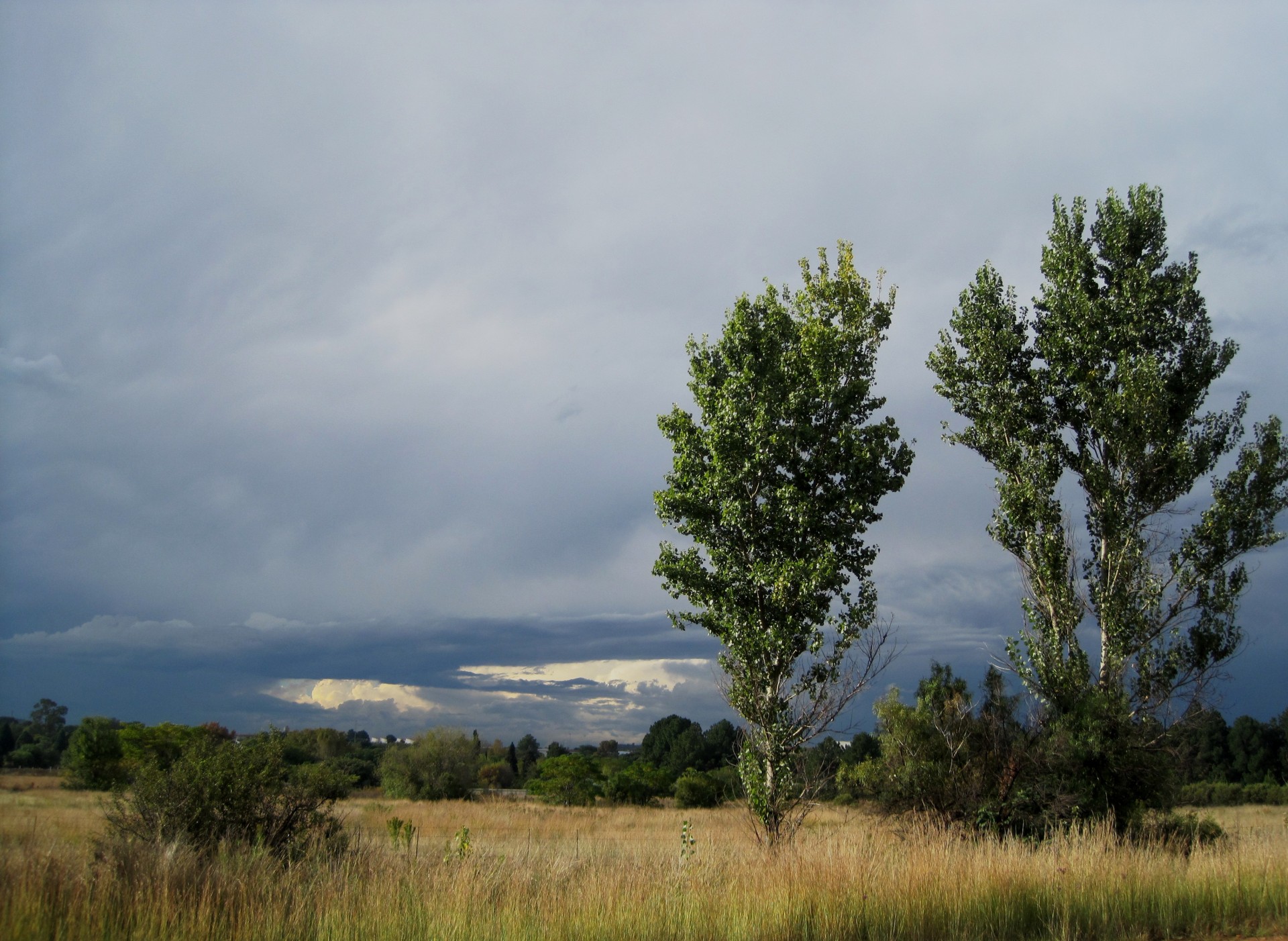 Dunkle Wolken mit Bäumen und Steppe