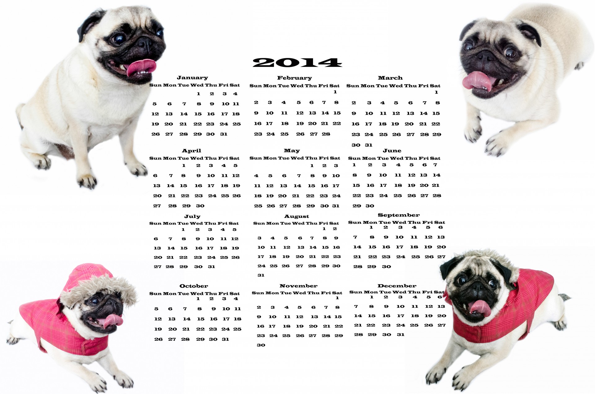Dog Kalender 2014