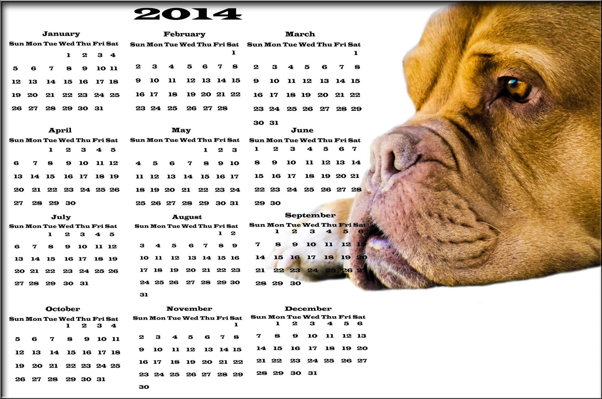 Dog Kalender 2014
