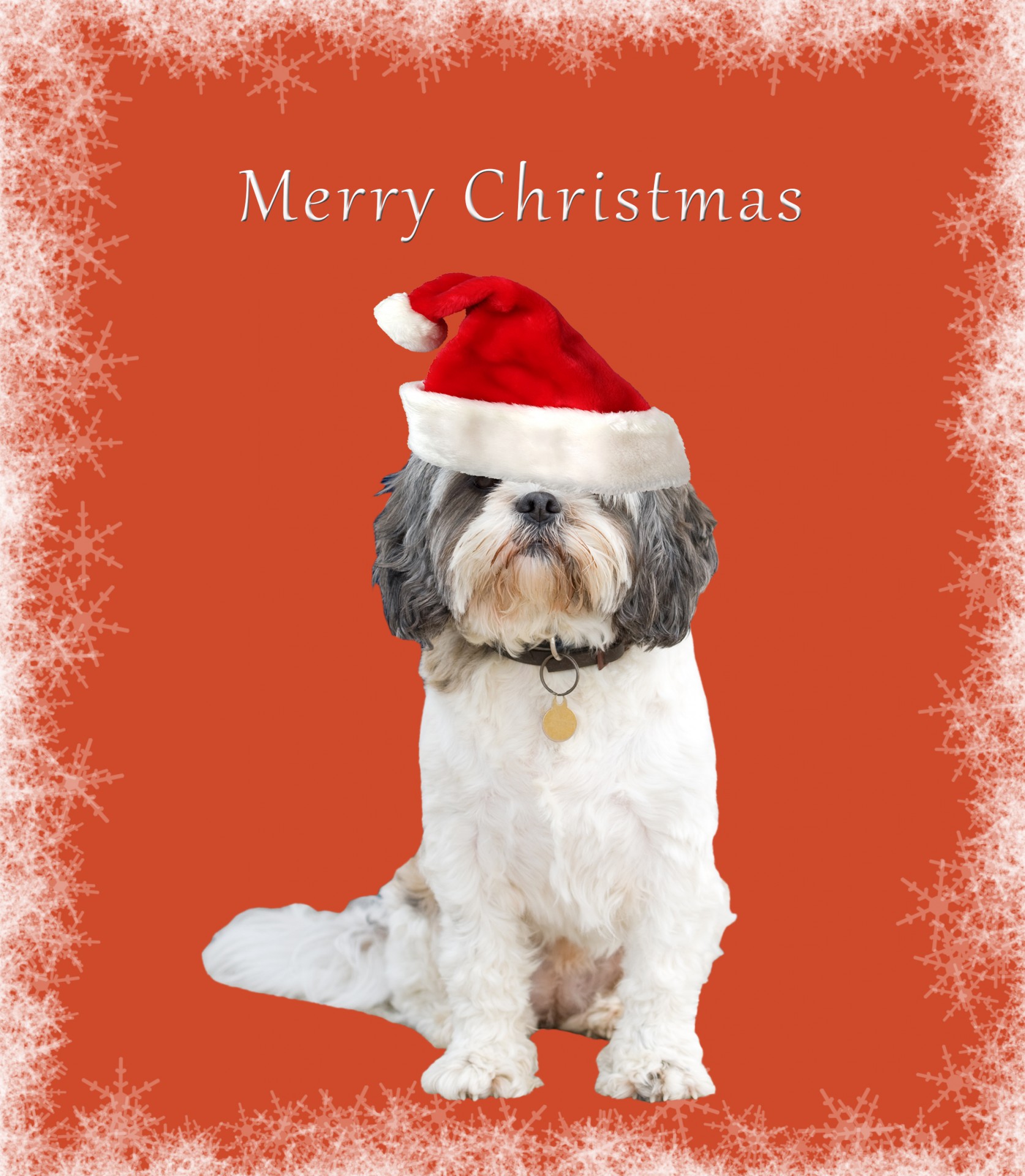 Собака Рождественская открытка