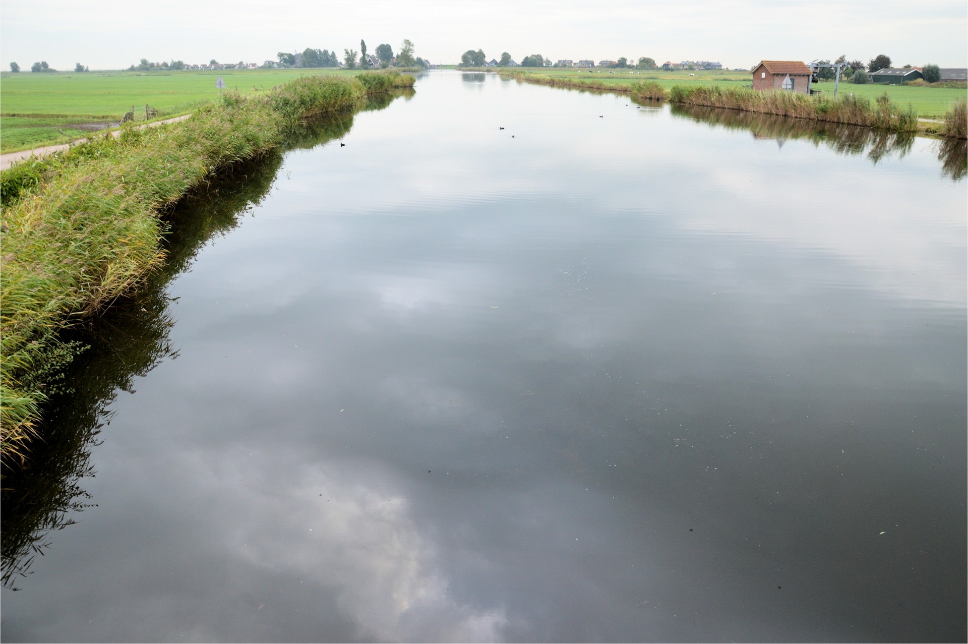 Голландская водно-болотных угодий