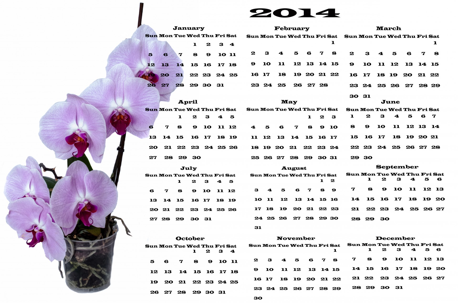 Цветок - календарь 2014