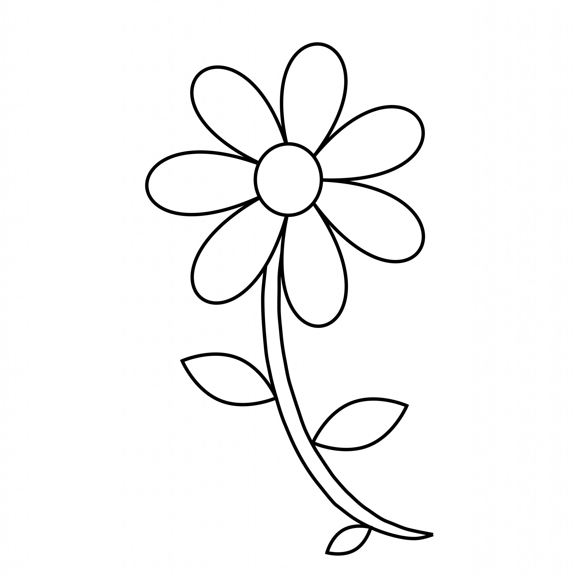 Flower Outline Coloring Page