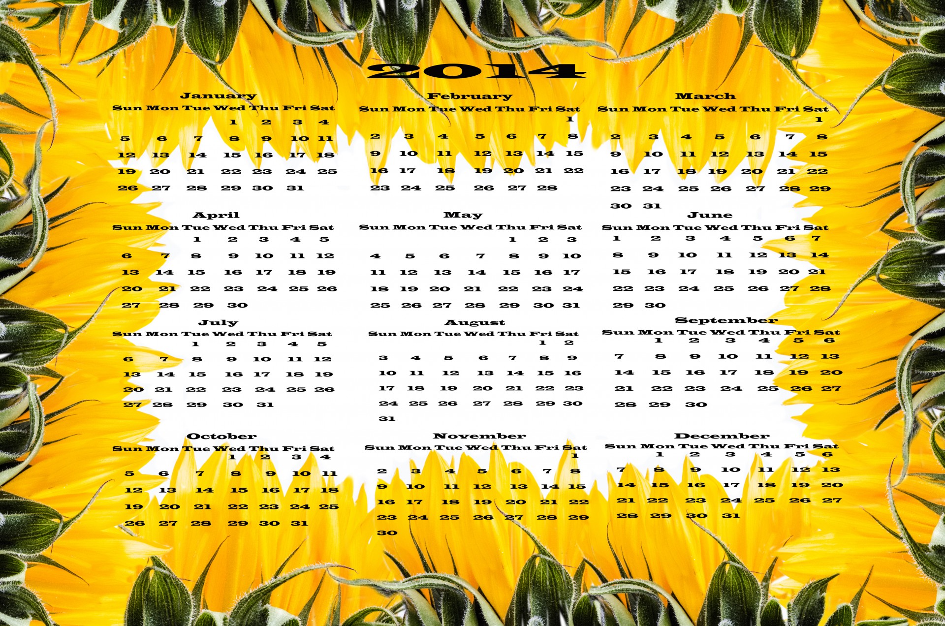 Цветы календаря 2014