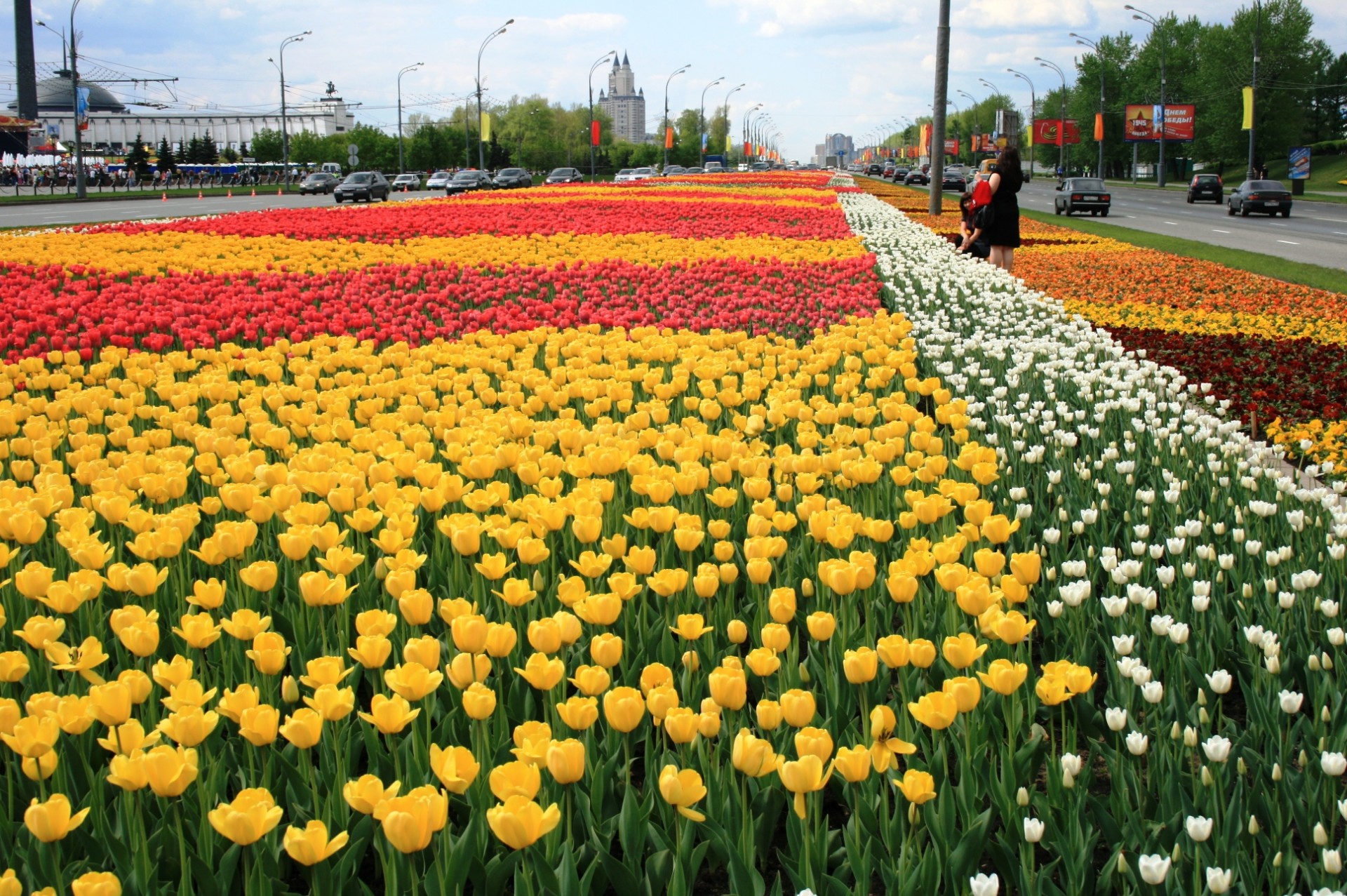 цветы на площади Победы, Москва