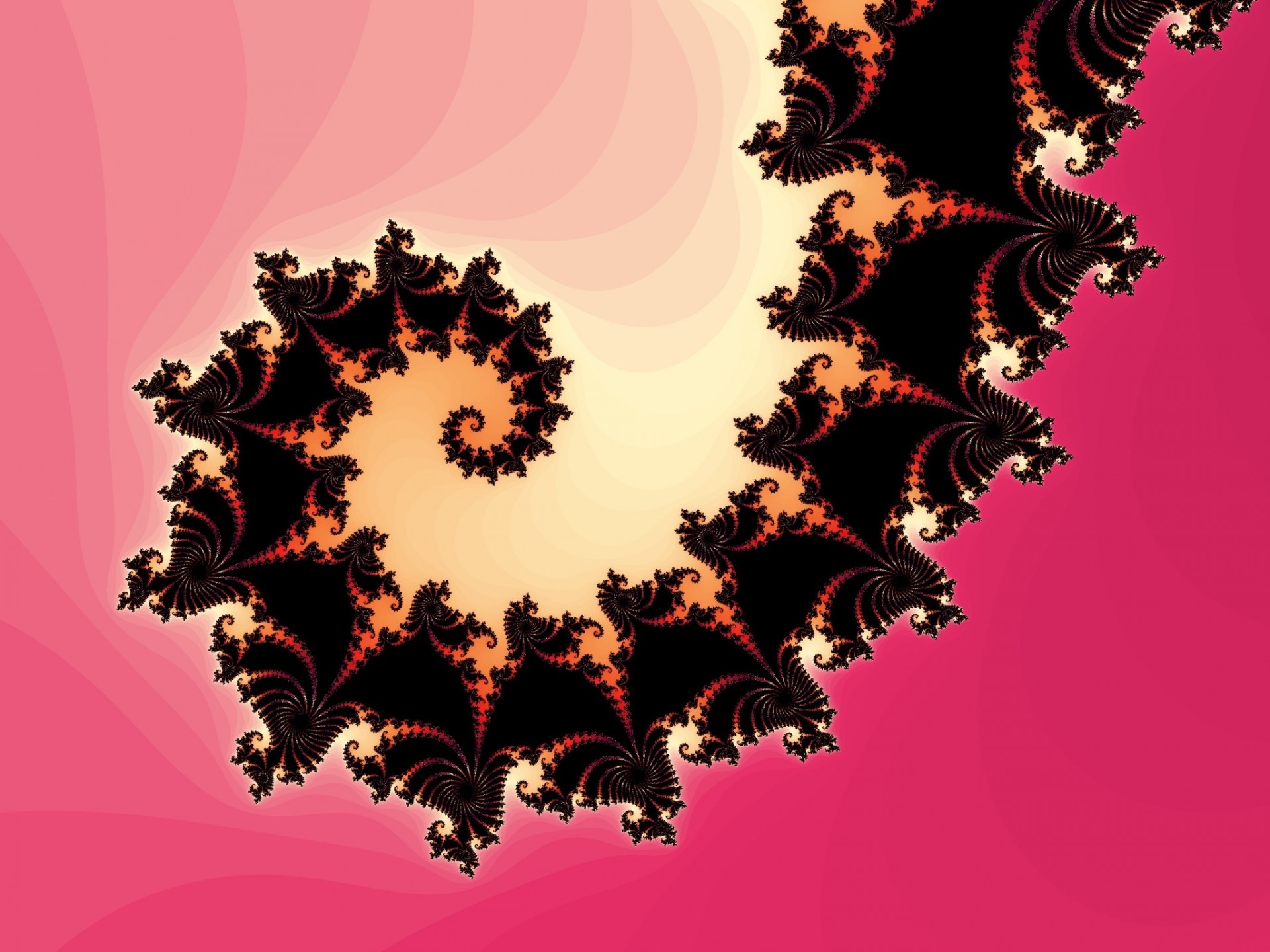 Fractal Spirale auf einem rosa Hintergru