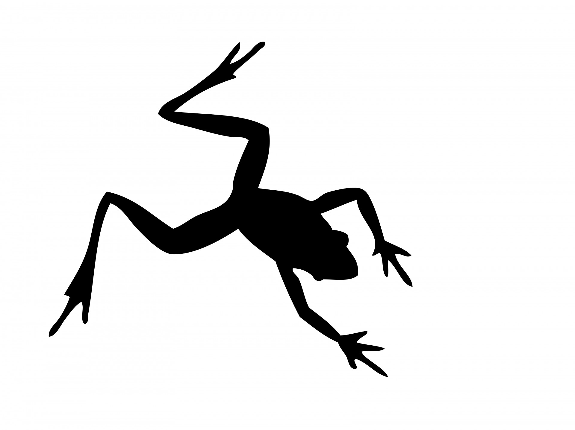 Silhouette Frog