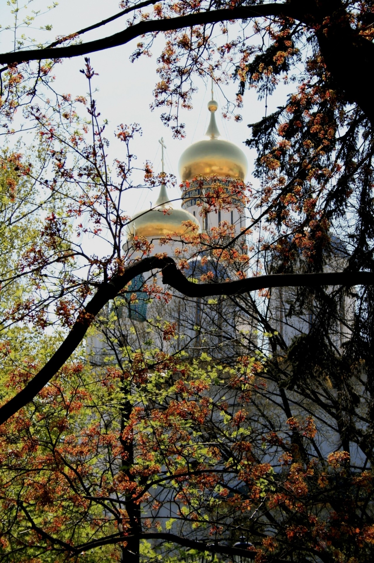 Взгляд из золотые купола на церкви