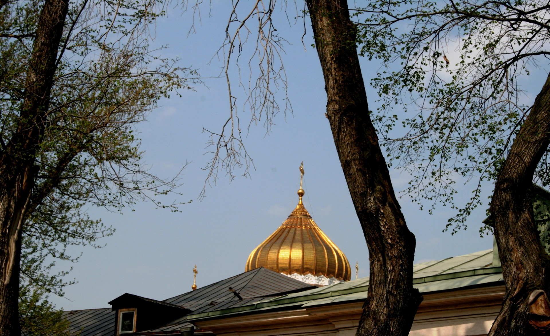 Золотой купол собора