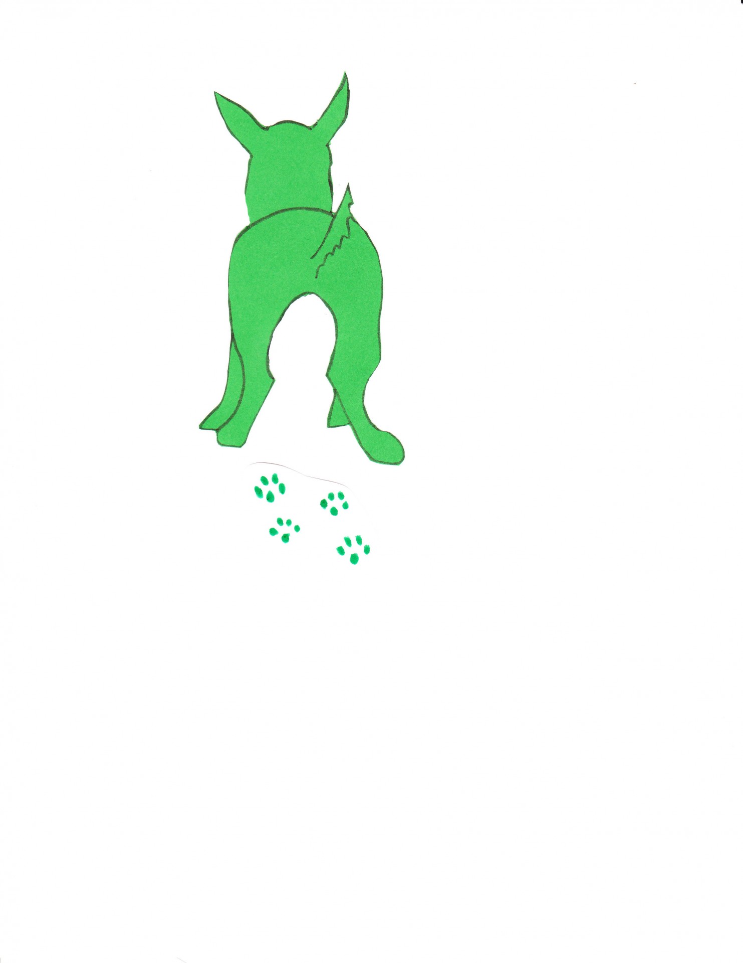 Зеленый выгула собак