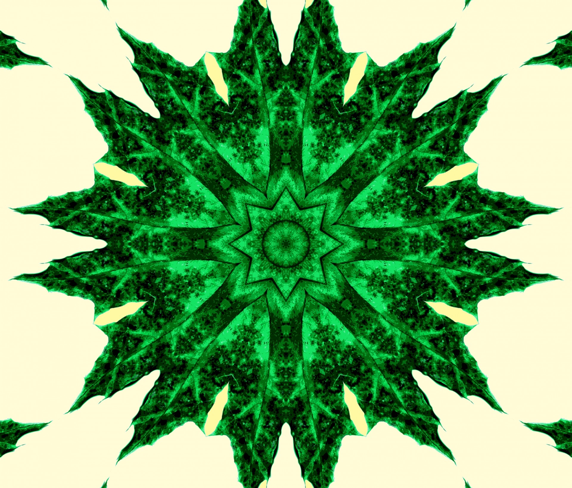 Зеленый цветочный мандалу