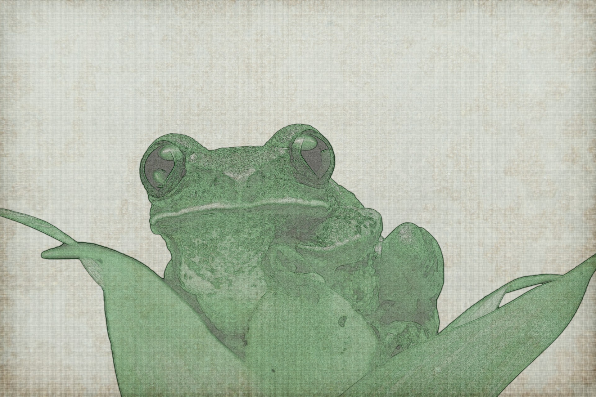 Зеленый фон старинные Frog