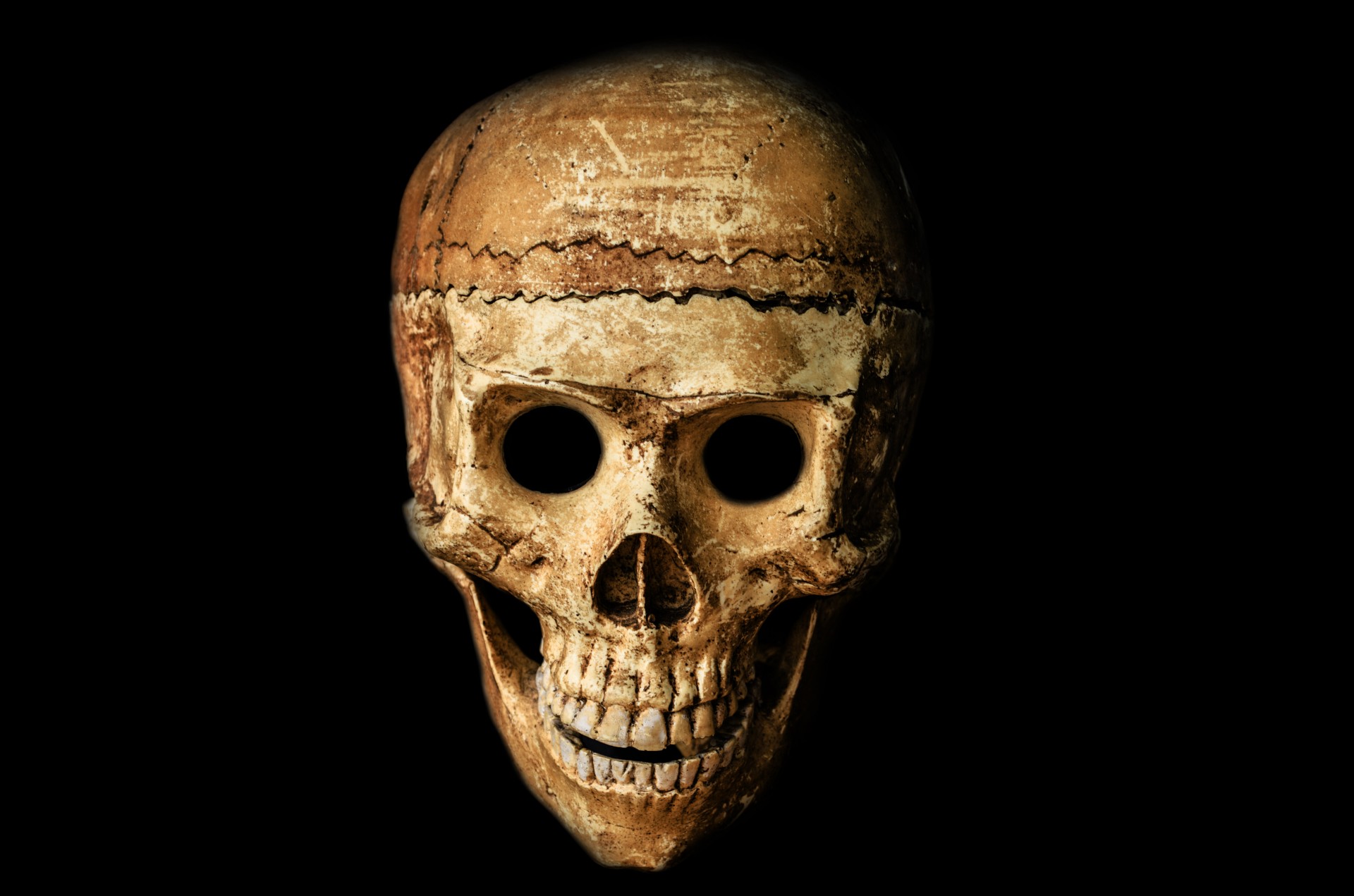 Cranio di Halloween