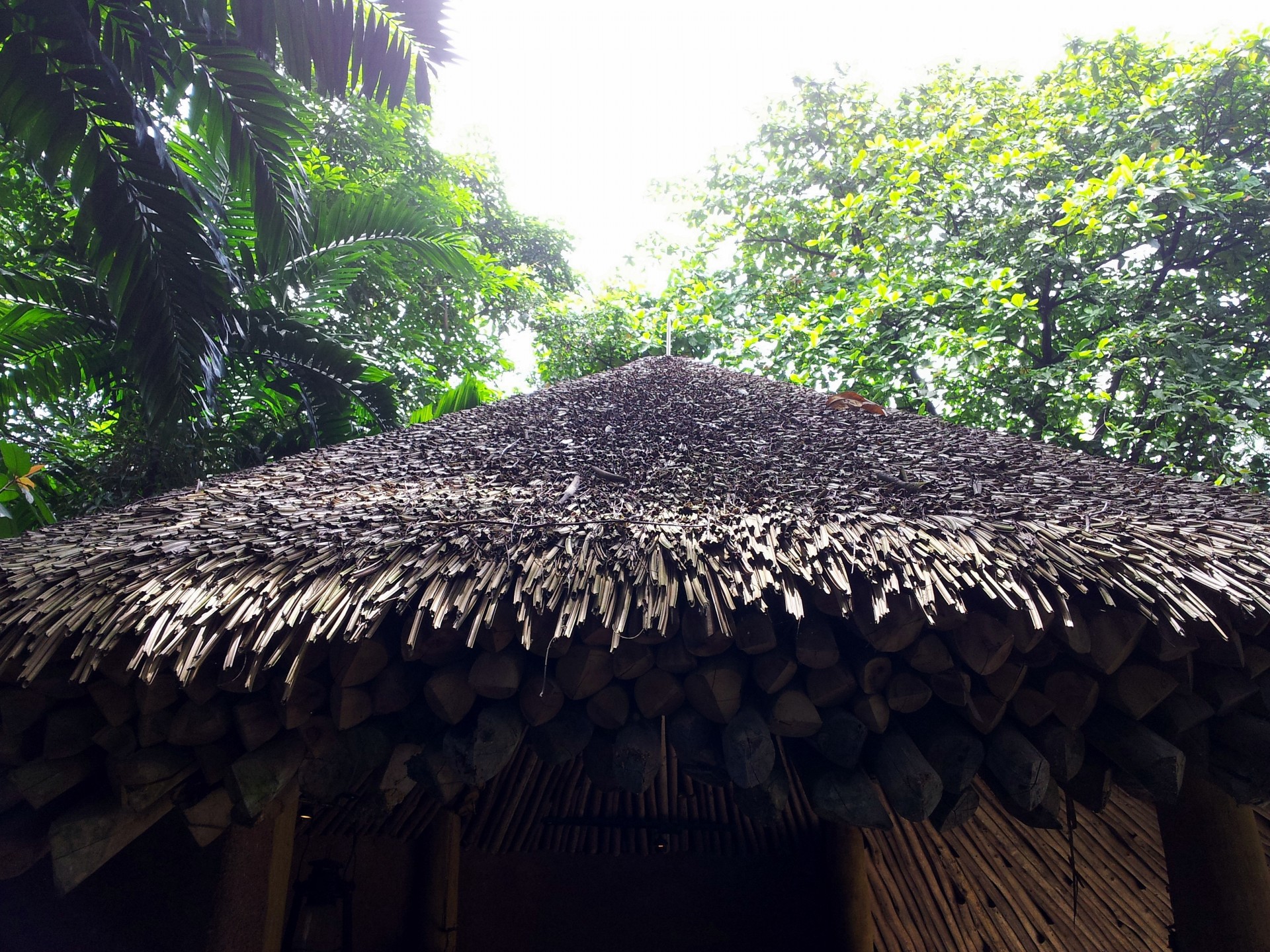 Hub tetto fieno in zona tropicale
