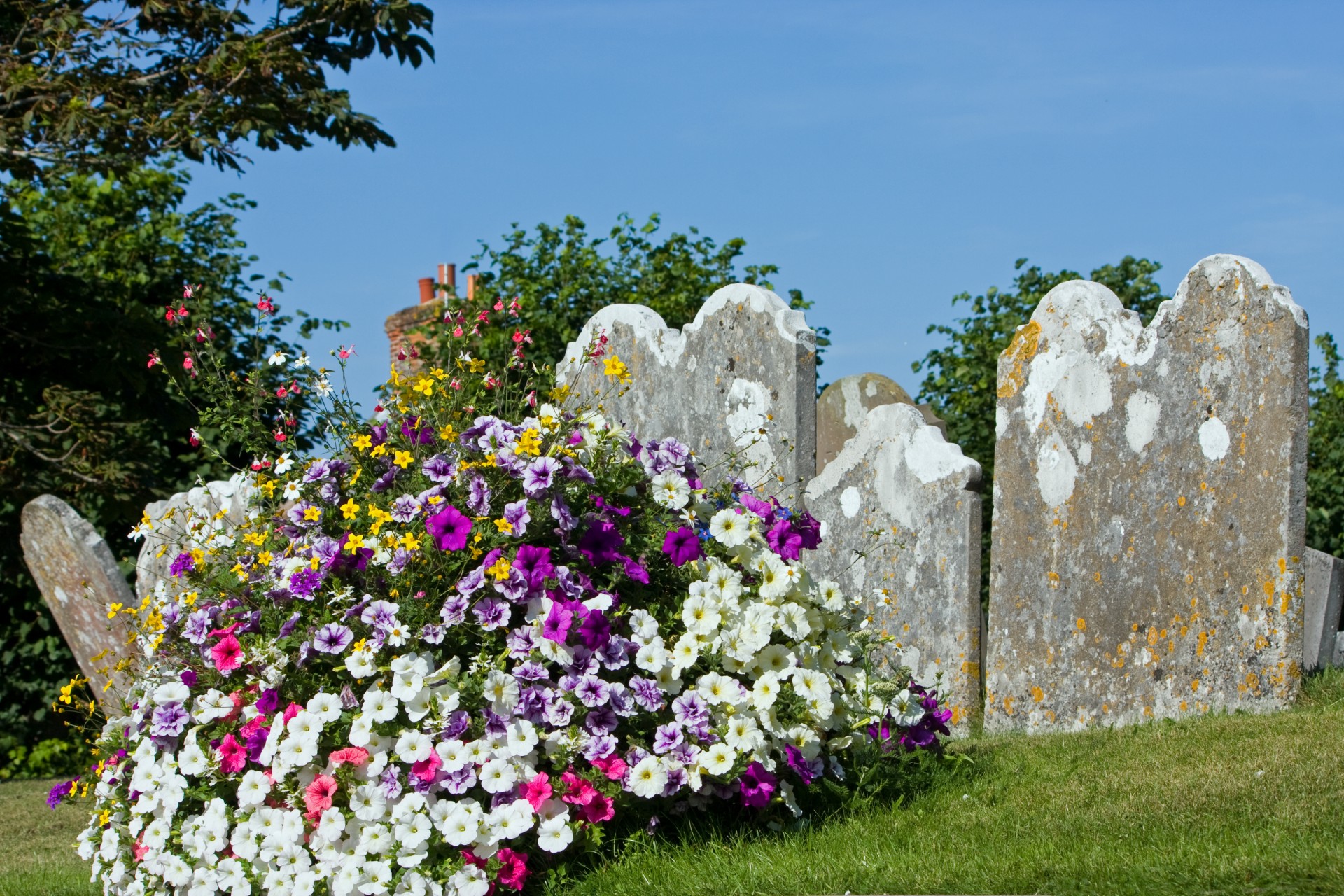 Grabstein und Blumen