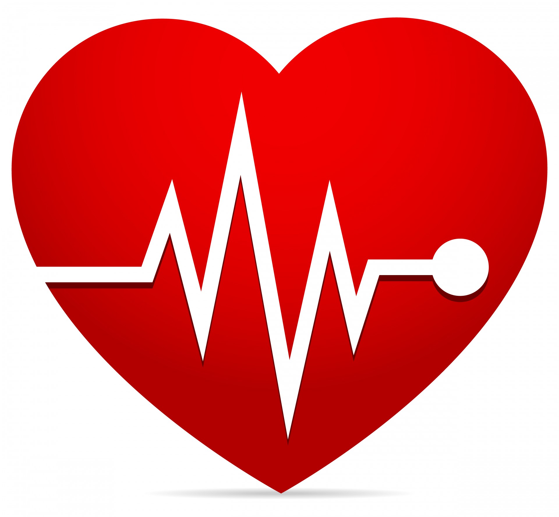 Szív-rate, EKG (EKG), a szívverés